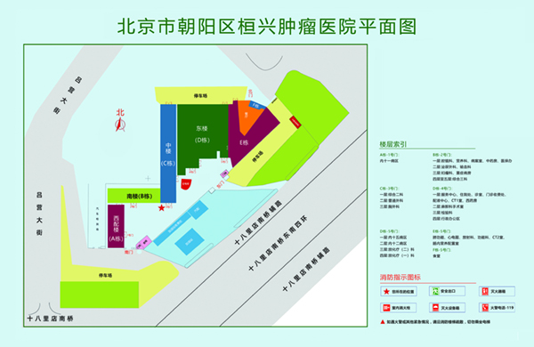 大鸡巴插小穴视频北京市朝阳区桓兴肿瘤医院平面图